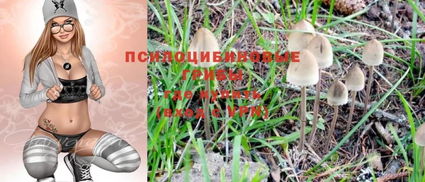 spice Горнозаводск