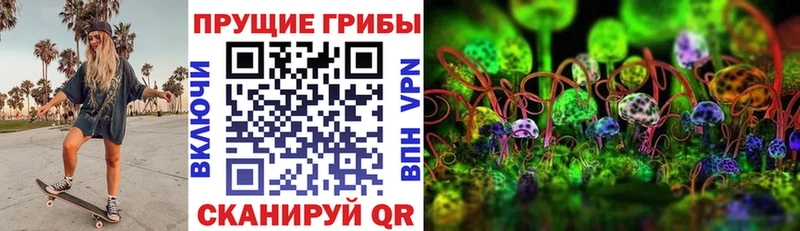 Купить где Курчатов Псилоцибиновые грибы Magic Shrooms