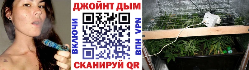 Шишки марихуана марихуана  Купить где  Курчатов 